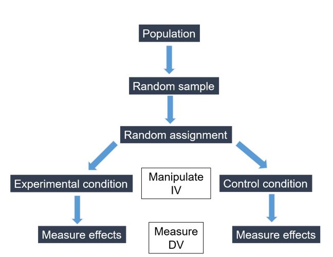 steps of an experiment