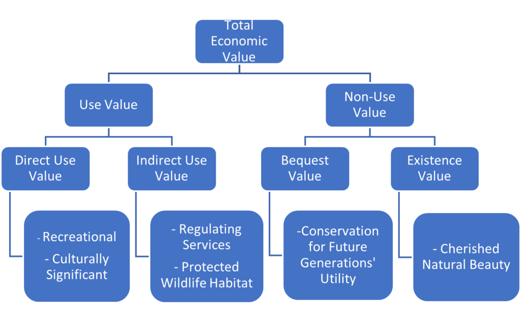 A tree diagram breaking down the total economic value of Johnson Lake.